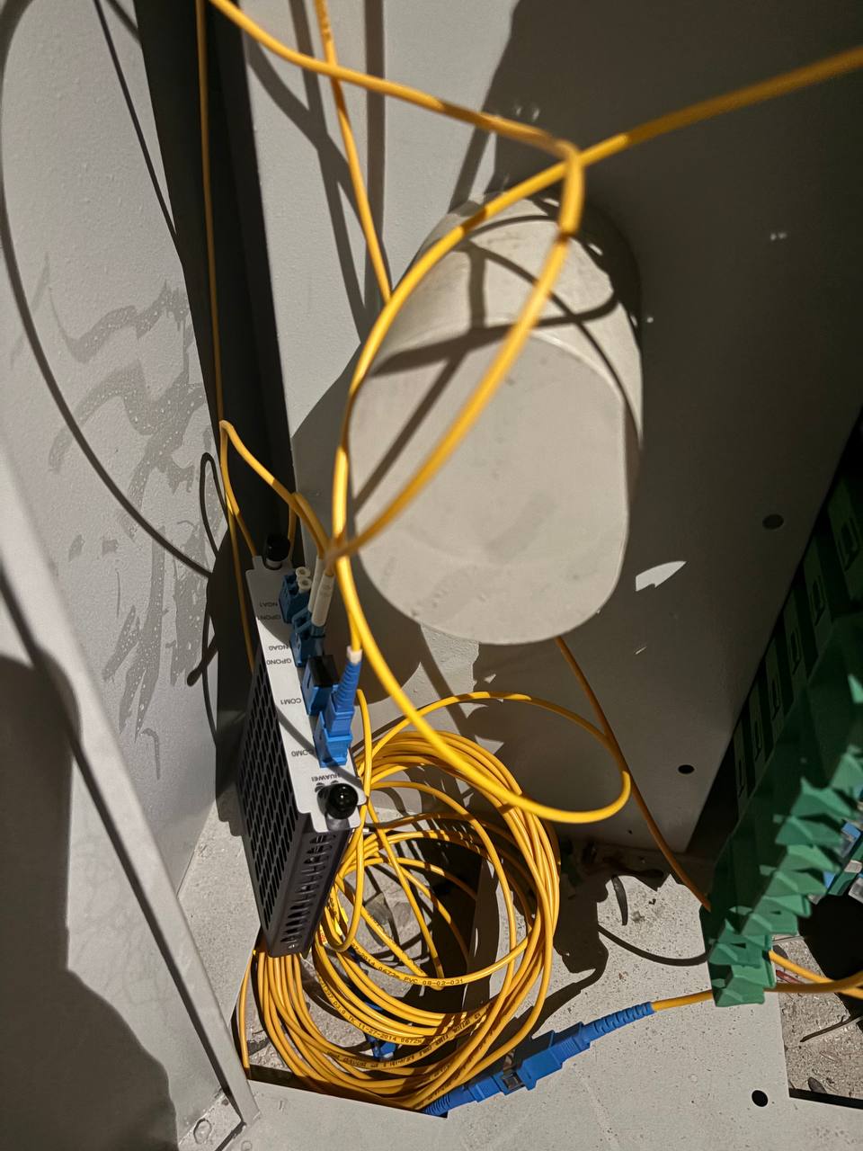 photo_2025-04-19_21-22-11